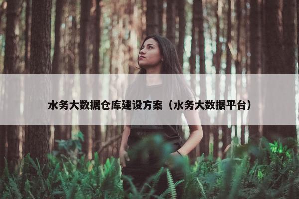 水务大数据仓库建设方案（水务大数据平台）