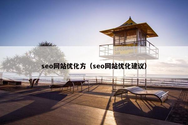 seo网站优化方（seo网站优化建议）