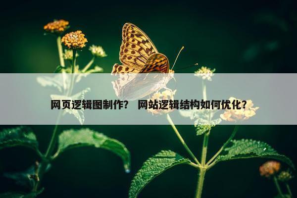 网页逻辑图制作？ 网站逻辑结构如何优化？