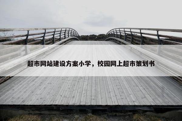 超市网站建设方案小学，校园网上超市策划书