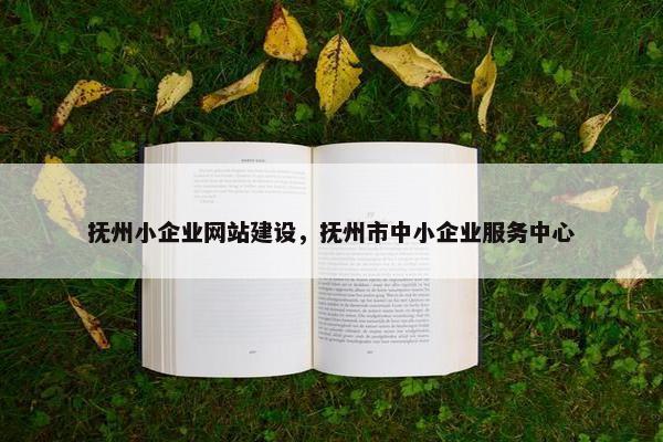 抚州小企业网站建设，抚州市中小企业服务中心