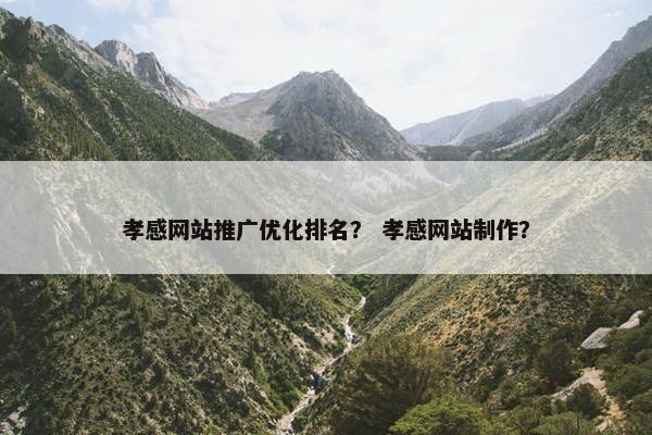 孝感网站推广优化排名？ 孝感网站制作？