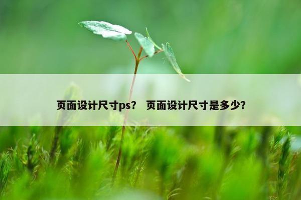 页面设计尺寸ps？ 页面设计尺寸是多少？
