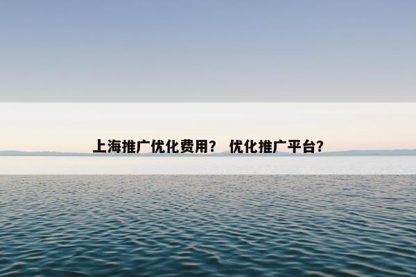 上海推广优化费用？ 优化推广平台？