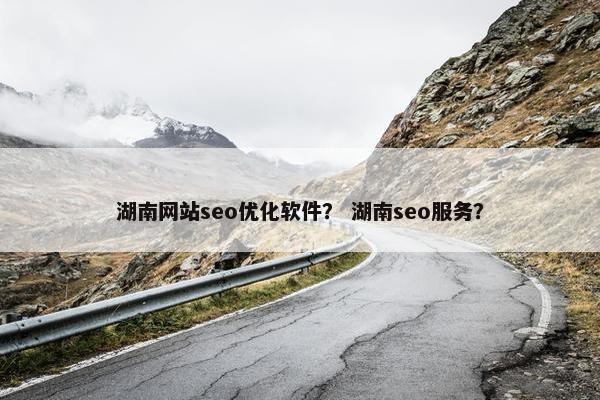 湖南网站seo优化软件？ 湖南seo服务？
