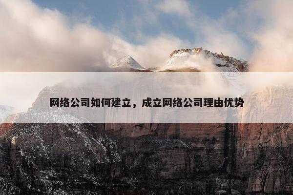 网络公司如何建立，成立网络公司理由优势