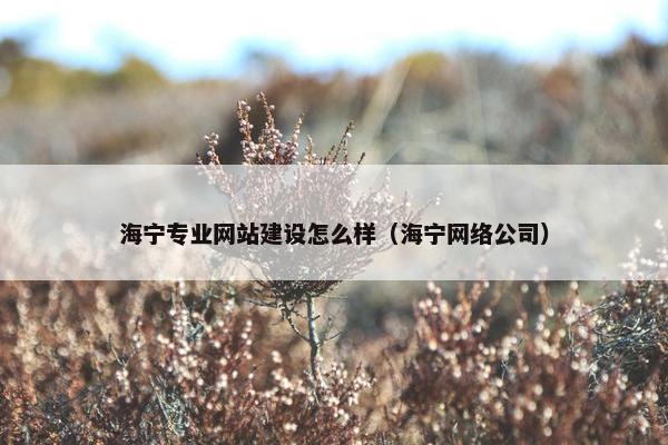 海宁专业网站建设怎么样（海宁网络公司）