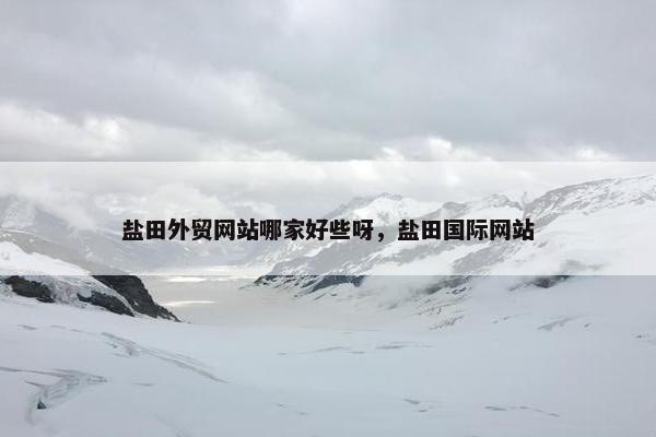 盐田外贸网站哪家好些呀，盐田国际网站