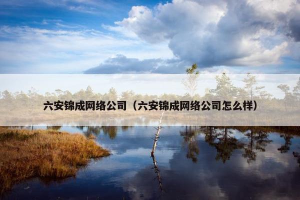 六安锦成网络公司（六安锦成网络公司怎么样）