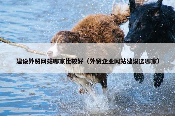 建设外贸网站哪家比较好（外贸企业网站建设选哪家）