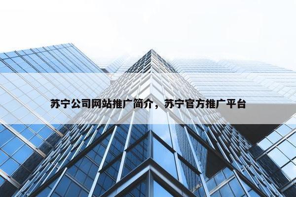 苏宁公司网站推广简介，苏宁官方推广平台