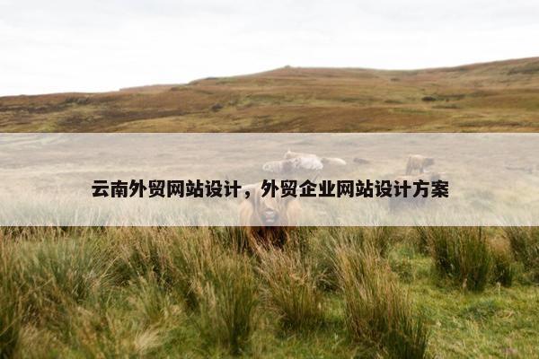 云南外贸网站设计，外贸企业网站设计方案