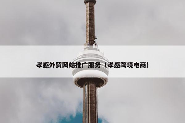 孝感外贸网站推广服务（孝感跨境电商）