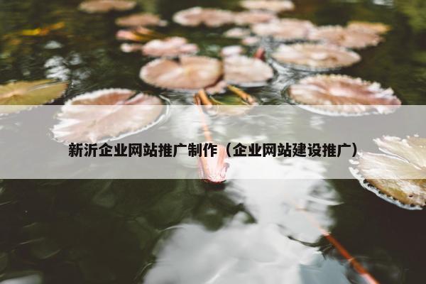 新沂企业网站推广制作（企业网站建设推广）