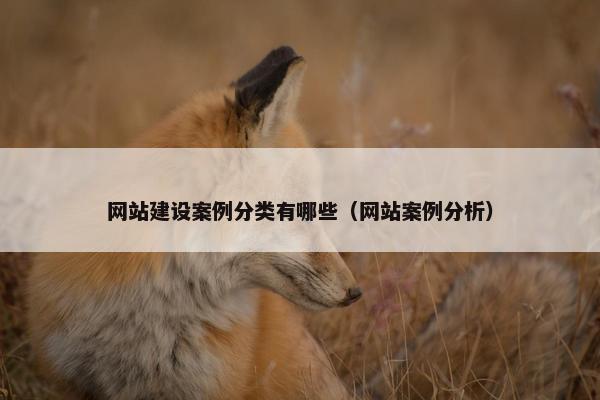 网站建设案例分类有哪些（网站案例分析）