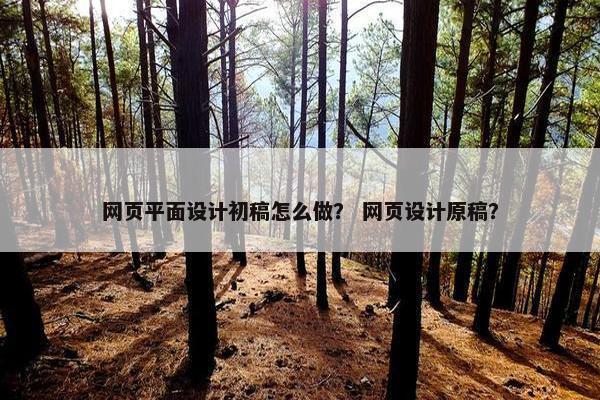 网页平面设计初稿怎么做？ 网页设计原稿？