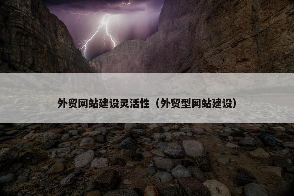 外贸网站建设灵活性（外贸型网站建设）