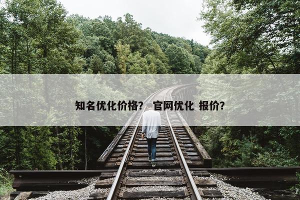知名优化价格？ 官网优化 报价？