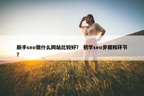 新手seo做什么网站比较好？ 初学seo步骤和环节？
