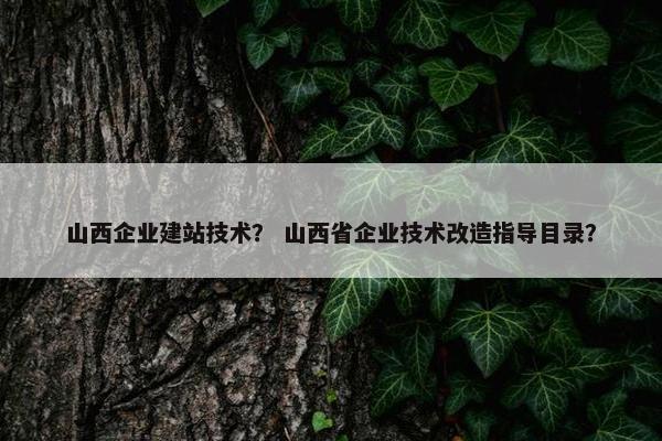 山西企业建站技术？ 山西省企业技术改造指导目录？