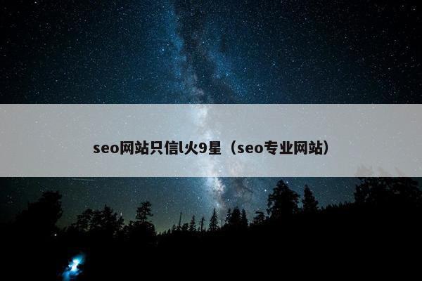 seo网站只信l火9星（seo专业网站）