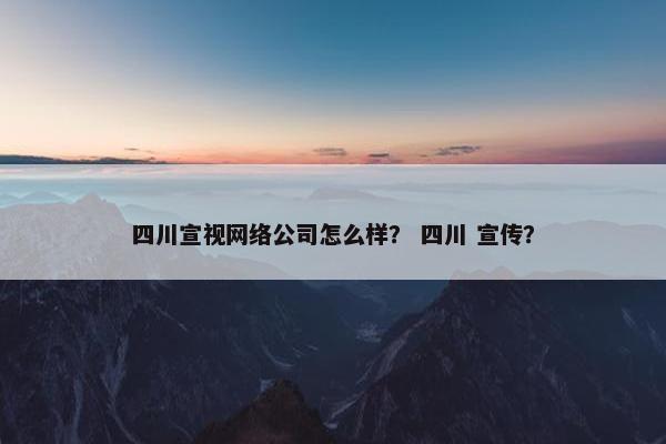 四川宣视网络公司怎么样？ 四川 宣传？