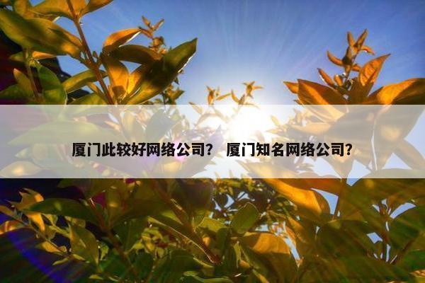 厦门此较好网络公司？ 厦门知名网络公司？