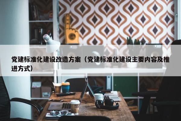 党建标准化建设改造方案（党建标准化建设主要内容及推进方式）