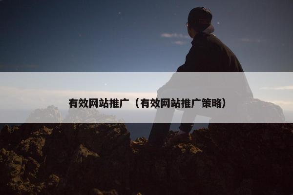 有效网站推广（有效网站推广策略）