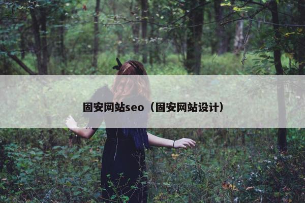 固安网站seo（固安网站设计）