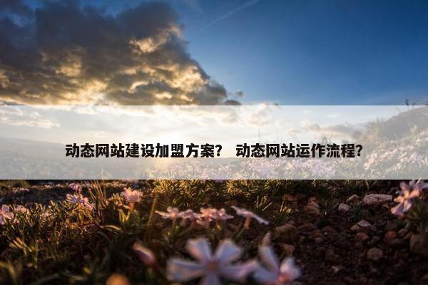动态网站建设加盟方案？ 动态网站运作流程？