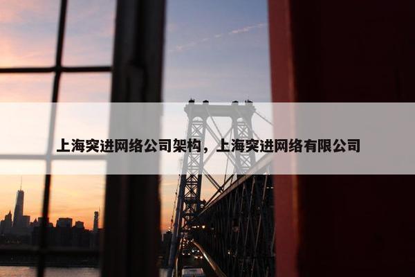 上海突进网络公司架构，上海突进网络有限公司