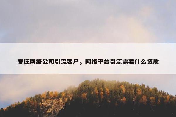 枣庄网络公司引流客户，网络平台引流需要什么资质