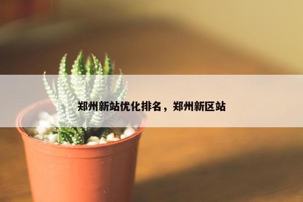 郑州新站优化排名，郑州新区站