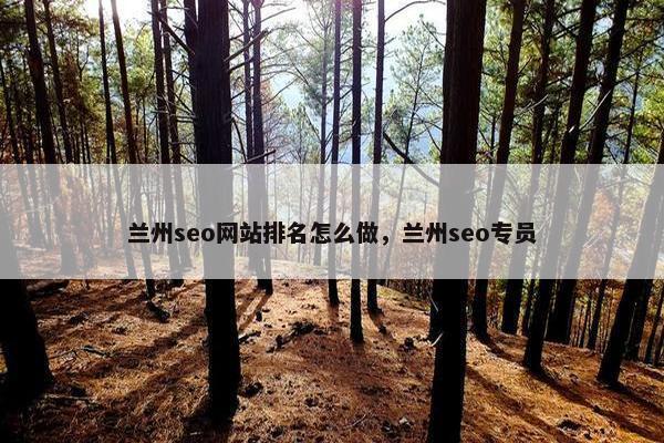 兰州seo网站排名怎么做，兰州seo专员
