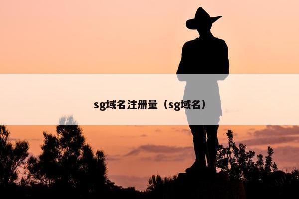 sg域名注册量（sg域名）