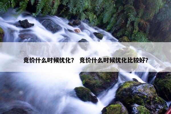 竞价什么时候优化？ 竞价什么时候优化比较好？