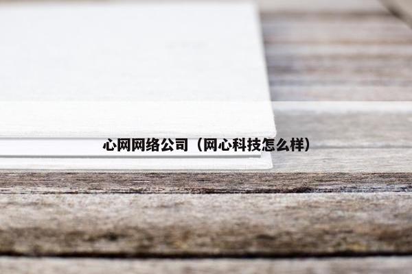 心网网络公司（网心科技怎么样）