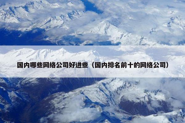 国内哪些网络公司好进些（国内排名前十的网络公司）