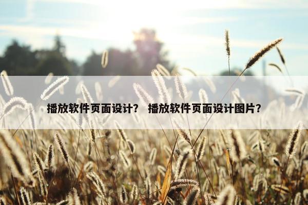 播放软件页面设计？ 播放软件页面设计图片？