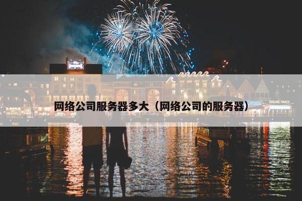 网络公司服务器多大（网络公司的服务器）