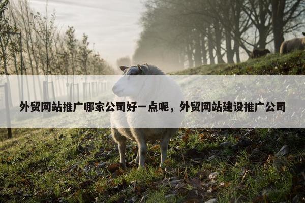 外贸网站推广哪家公司好一点呢，外贸网站建设推广公司