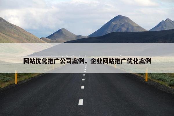 网站优化推广公司案例，企业网站推广优化案例