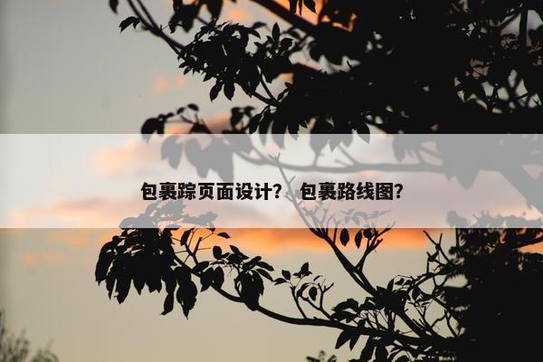 包裹踪页面设计？ 包裹路线图？