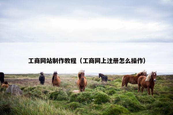 工商网站制作教程（工商网上注册怎么操作）