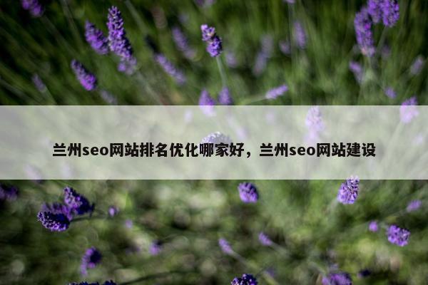 兰州seo网站排名优化哪家好，兰州seo网站建设