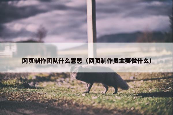 网页制作团队什么意思（网页制作员主要做什么）