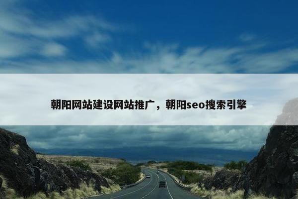 朝阳网站建设网站推广，朝阳seo搜索引擎
