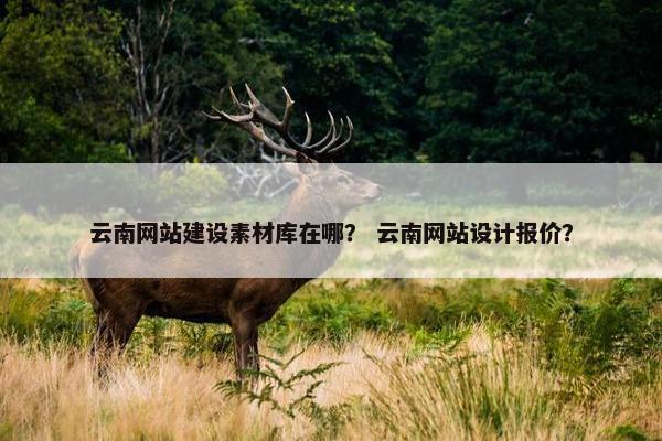 云南网站建设素材库在哪？ 云南网站设计报价？