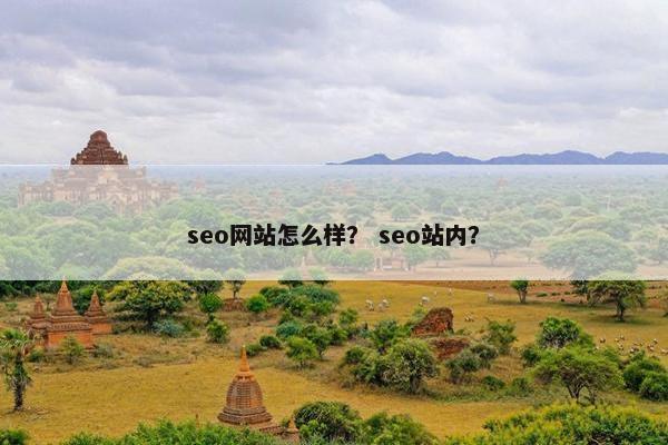 seo网站怎么样？ seo站内？